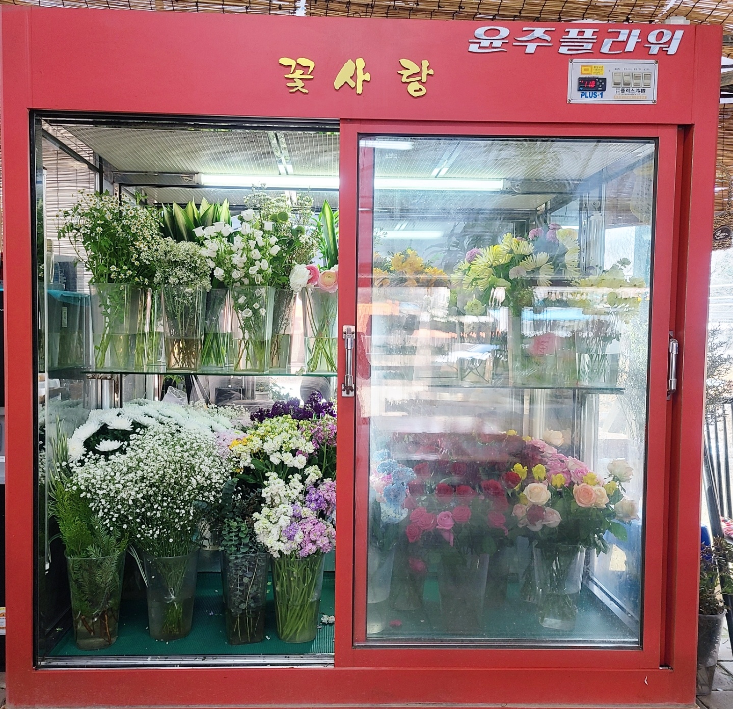 2950055133_k5VDdRfi_95cc5ae96cbea569b4371b498aba6605f8d007b2.jpg 이미지크게보기